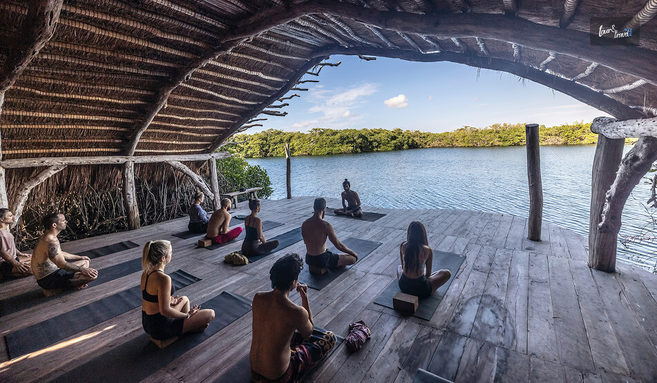 Why Should You Choose A Wellness Retreat