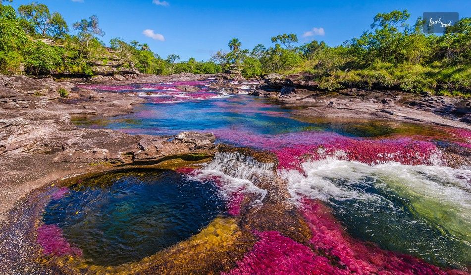 Cano Cristales Is A Color Changing River Bed In Colombia