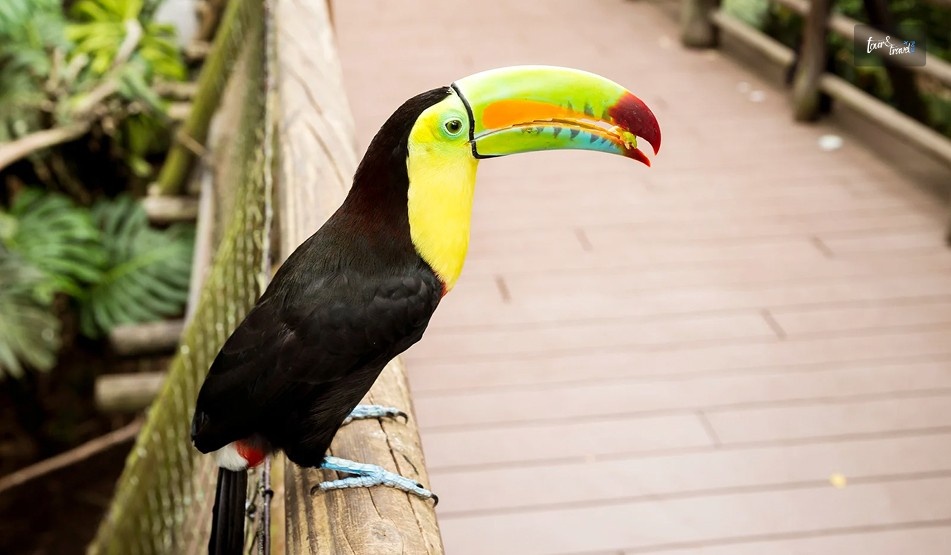 ColombiaIs One Of The Megadiverse Countries In The World