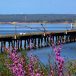 Lake Texoma should be capitalized
