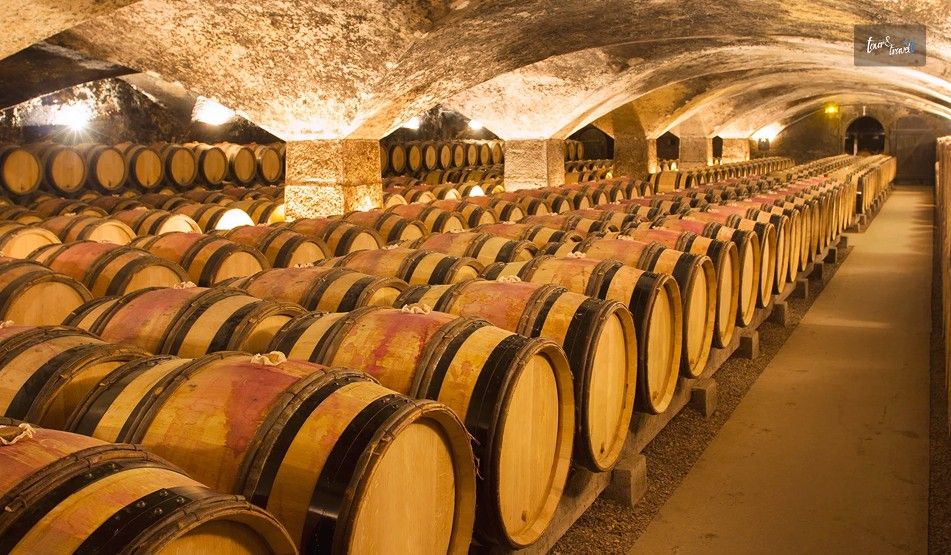 Tour Madeiras Wine Cellars