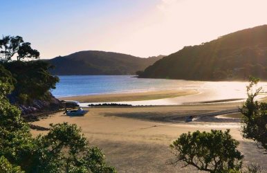 Great Barrier Island travel tips