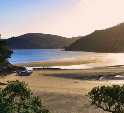 Great Barrier Island travel tips