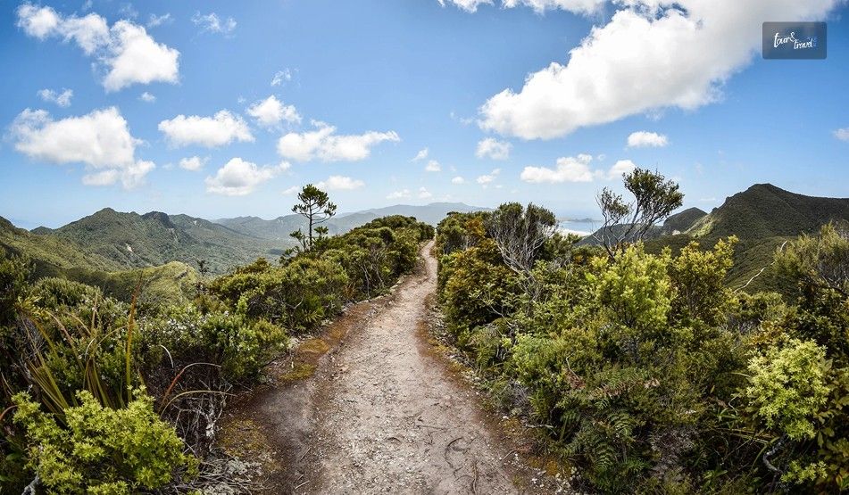 Lesser Known Facts About Great Barrier Island Off The Grid Living