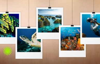 Raja Ampat diving trips