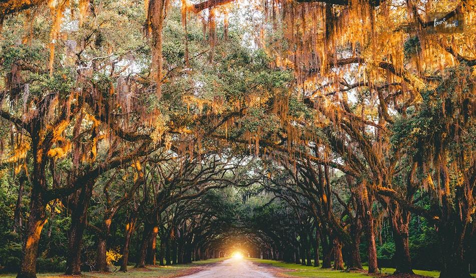 Savannah Georgia
