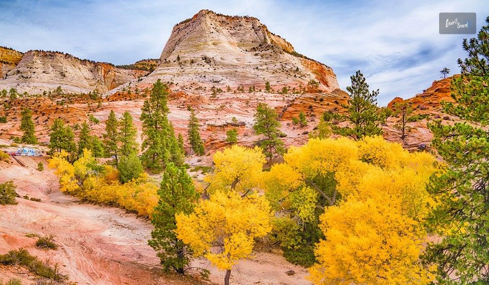 Zion National Park Utah