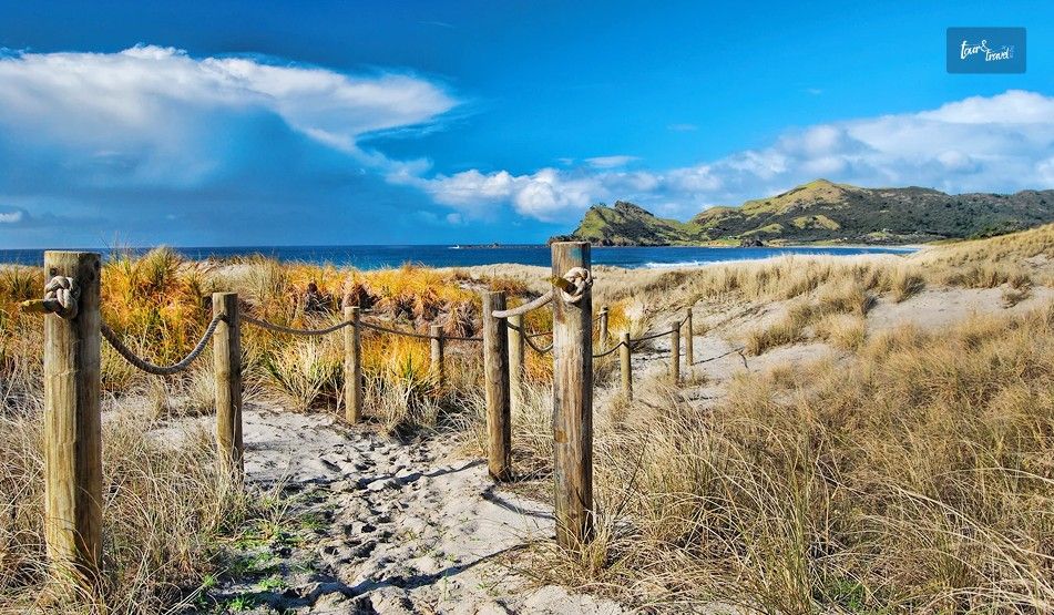 Camping And Eco Stays Near These Popular Camping Sites In Great Barrier Island New Zealand