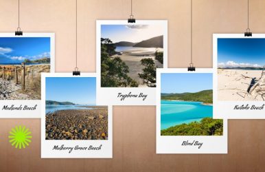 Great Barrier Island beach guide