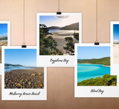 Great Barrier Island beach guide