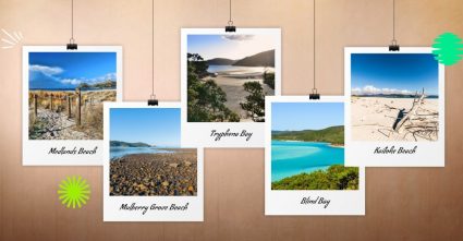Great Barrier Island beach guide