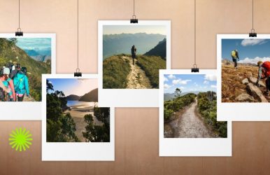 Great Barrier Island hiking trails
