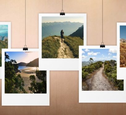 Great Barrier Island hiking trails