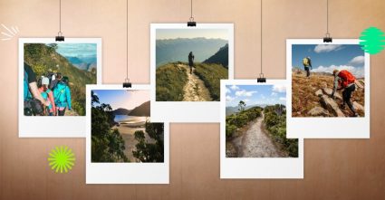 Great Barrier Island hiking trails