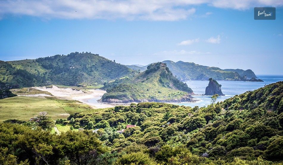 My Great Barrier Island Wildlife Tours Some Stories That Have Stayed With Me