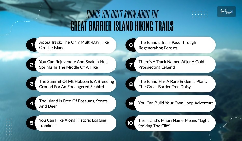 Things You Dont Know About The Great Barrier Island Hiking Trails UnearthingThe Secrets