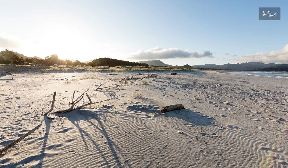 What Are The Hidden Beaches And Local Secrets Of The Great Barrier Island
