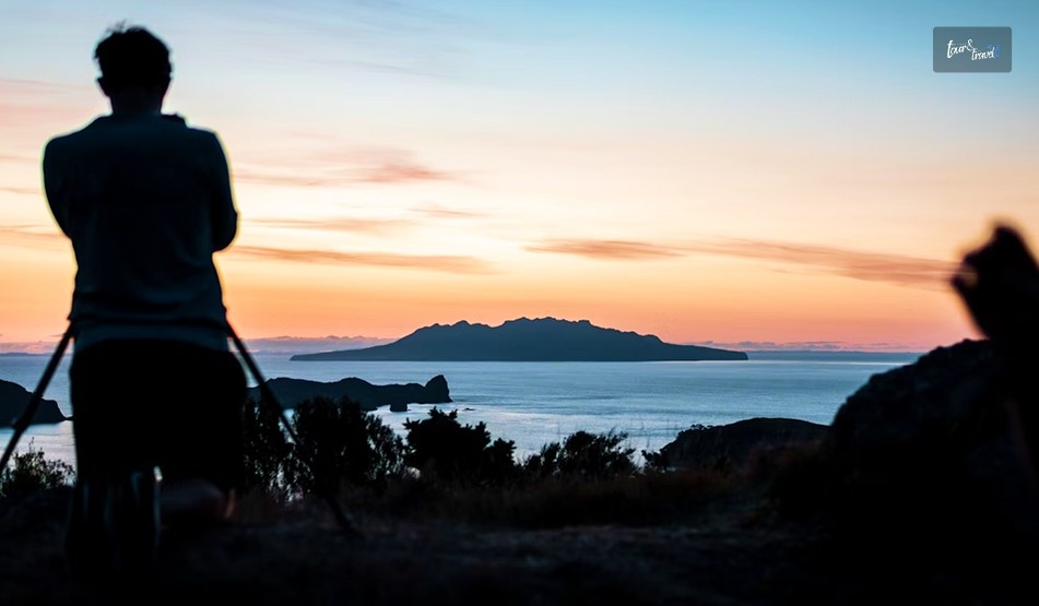 Why Is Aotea Great Barrier Island A Paradise For Wildlife Tours