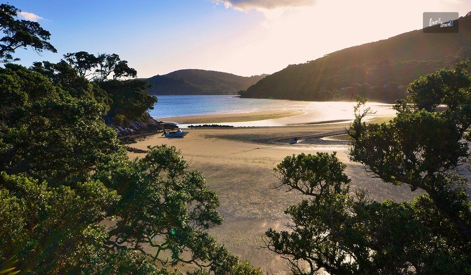 Why Is The Great Barrier Island A Hikers Paradise