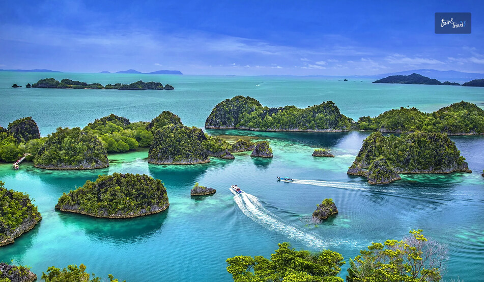 Raja Ampat Diving Season Tips For Liveaboard Vs. Resort