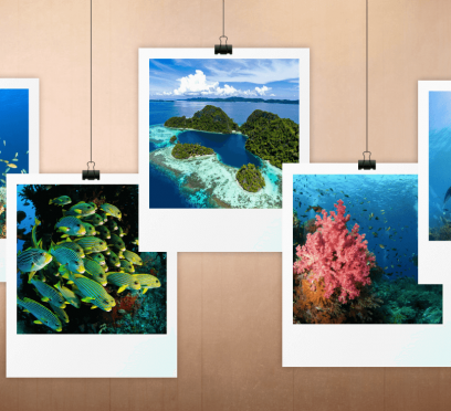 Raja Ampat dive site guide