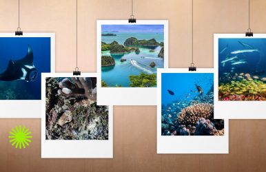 Raja Ampat diving season tips