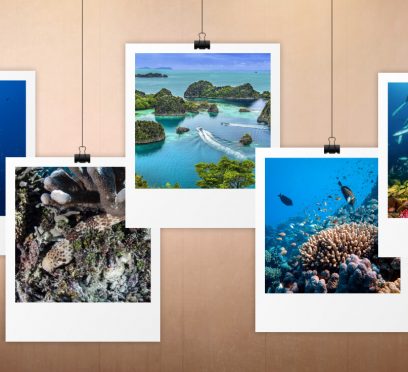 Raja Ampat diving season tips