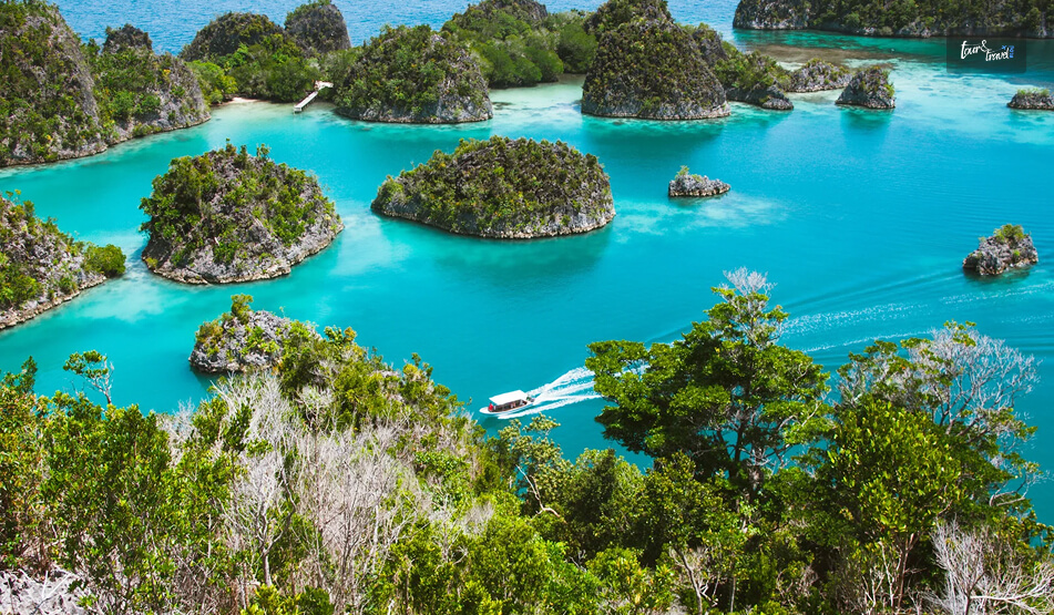 What Are The Expert Tips On Raja Ampat Budget Diving