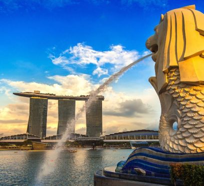 buy travel insurance for singapore