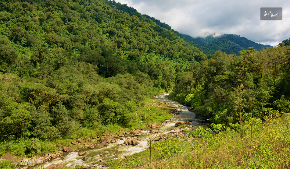 Quebrada De Los Sosa Nature Reserve