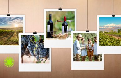 Tucumán wine tour guide