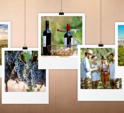 Tucumán wine tour guide