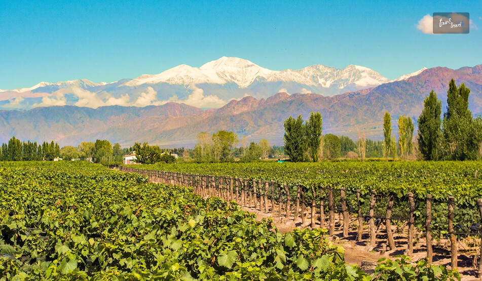Why Is Tucumán The Untouched Alternative To Mendoza