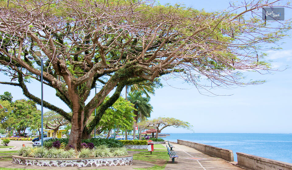 Coastal And Island Nature