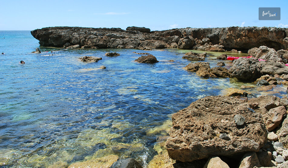 Snorkeling At Sharks Cove