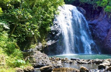 Suva nature guide