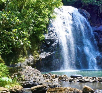 Suva nature guide