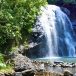 Suva nature guide