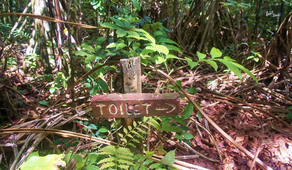 The Crown Jewel Colo-I-Suva Forest Park