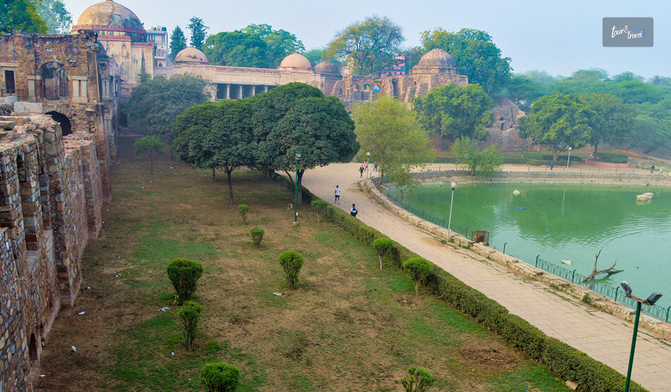 Walking Around The Deer Park