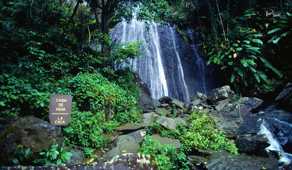 Wildlife And Nature Adventure In Puerto Rico