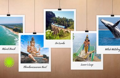 things to do in Trincomalee
