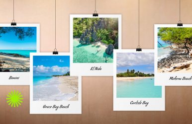 tropical beach