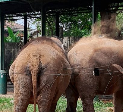 Dehiwala Zoo