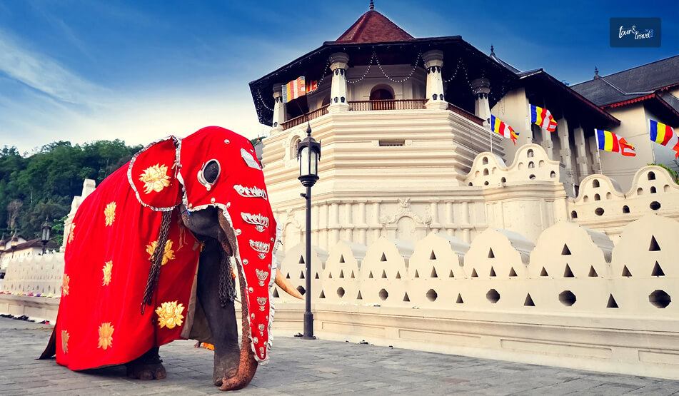 Exploring The Cultural Capital, Kandy