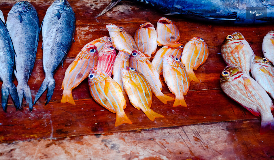 Exploring The Negombo Fish Market