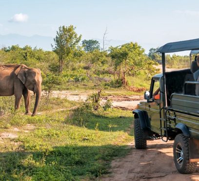 Hurulu Eco Park