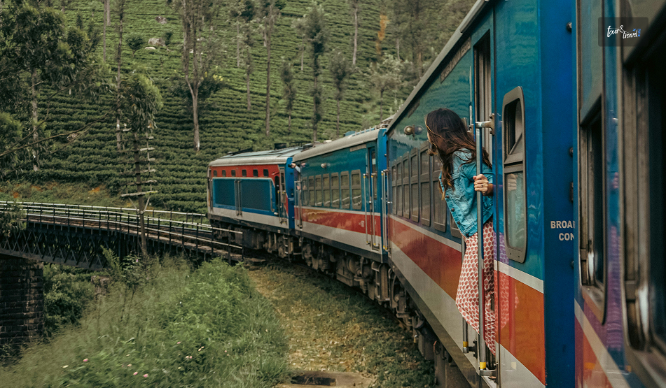 What Are The Things To Do In Nuwara Eliya? Know Why It Is Worth Visiting