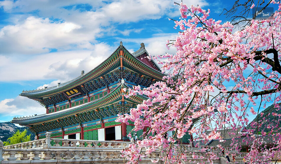 Korea The Hermit Continuity