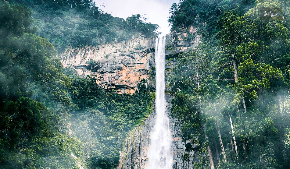 Kumano Nachi Taisha, Nachisan